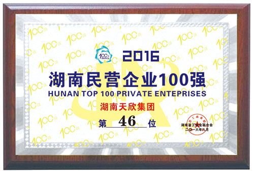 2016年湖南民营企业100强 第46位